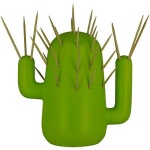 Porte cure-dent cactus